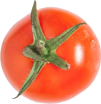 Tomate